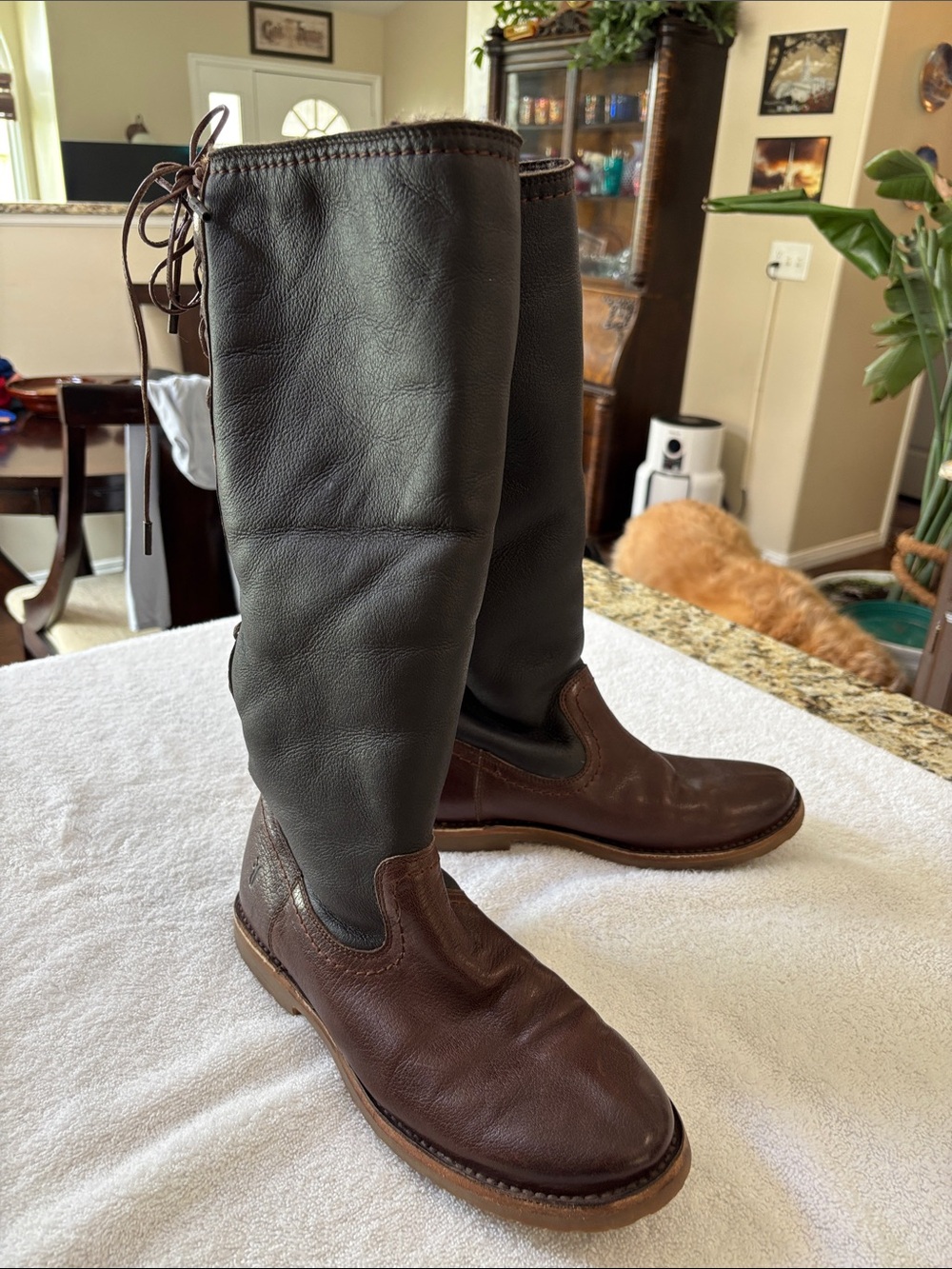 Frye Celia Leather Tall  Boots